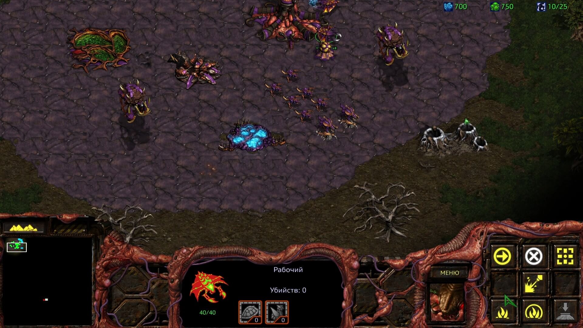 StarCraft Remastered - геймплей игры Windows